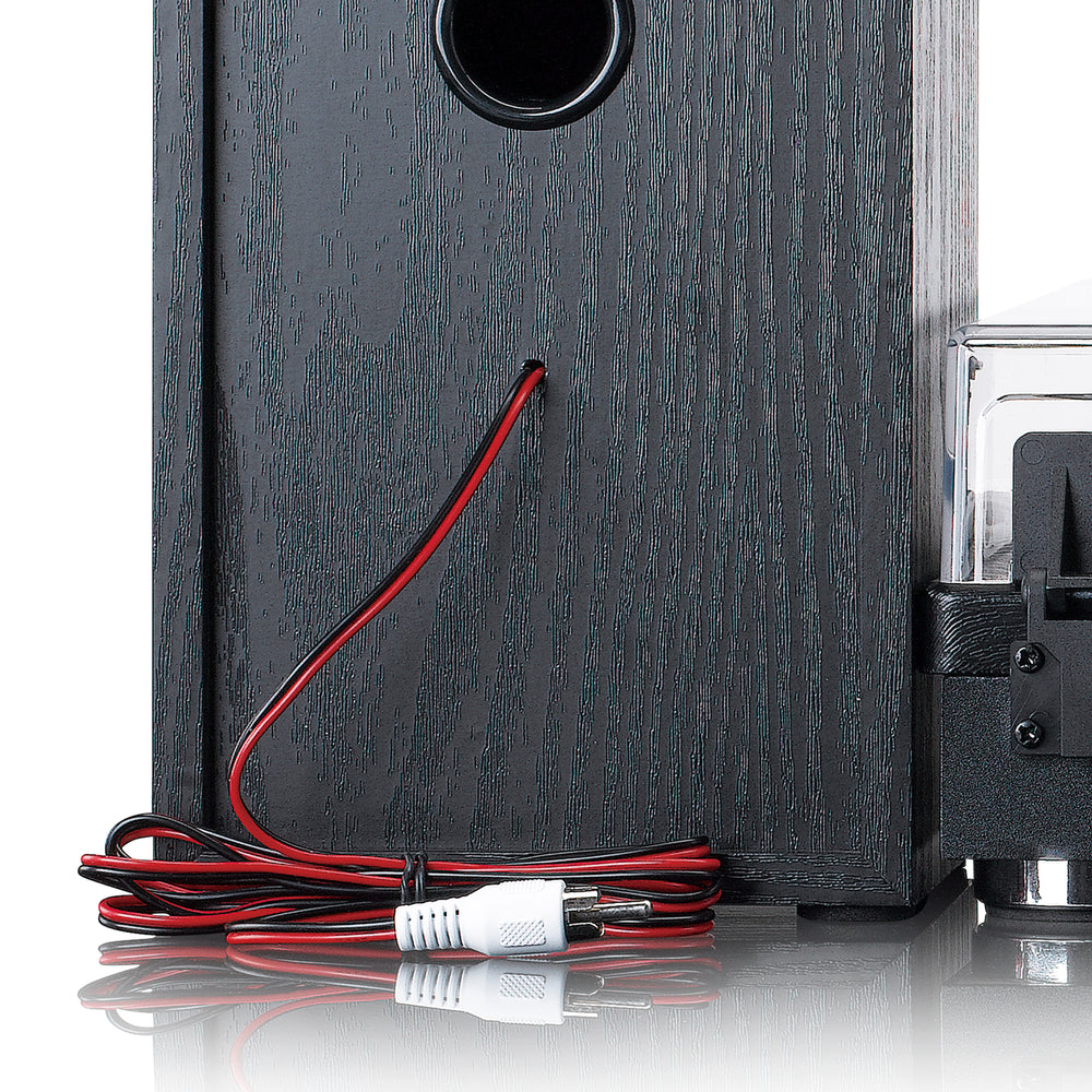LENCO - LS-101BK - Belt drive wooden turntable